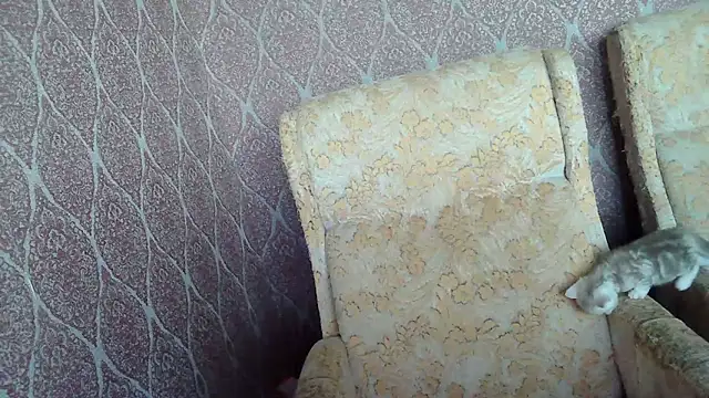 DollyGersonn online show from April 15, 4:40 am