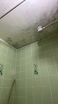 sylphiee  online show from April 8, 11:55 am