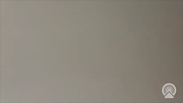 Shynesse21 online show from March 26, 11:41 am