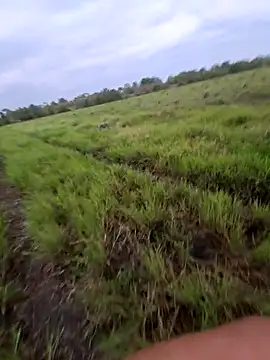 biker257 online show from March 12, 11:14 am