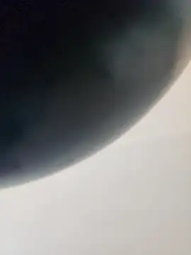 dufatcock online show from April 14, 6:02 pm