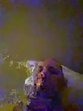 dufatcock online show from July 23, 9:33 pm