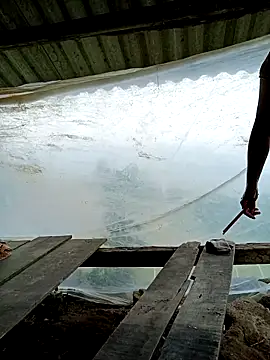 kalara kail online show from March 25, 4:56 am