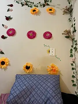 SpidderSecret online show from April 3, 6:42 am