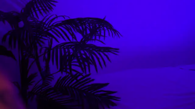 SweeetMila online show from April 13, 4:11 pm