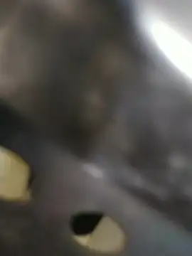 Rafii69 online show from April 1, 4:36 am