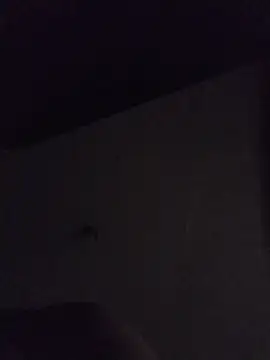 Relk130p online show from March 22, 7:54 am