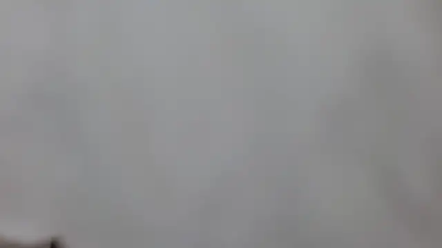 sweet afparty online show from April 15, 6:56 pm