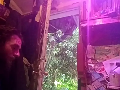 nearby causual online show from July 1, 1:28 am