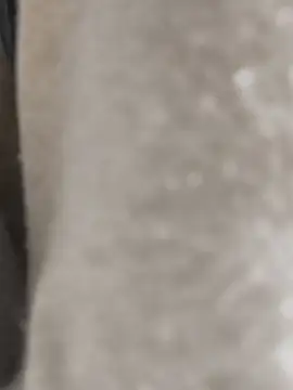 Enmy 24 online show from March 17, 4:15 am