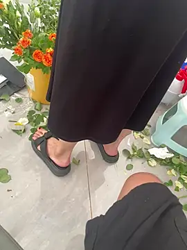 haotian8898 online show from July 25, 5:37 am