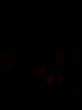 onliveme69 online show from April 8, 7:54 am