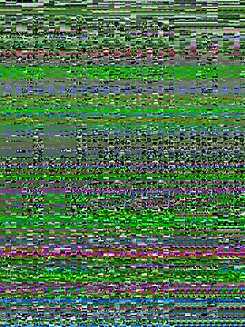 alextn22 online show from July 6, 2:46 pm