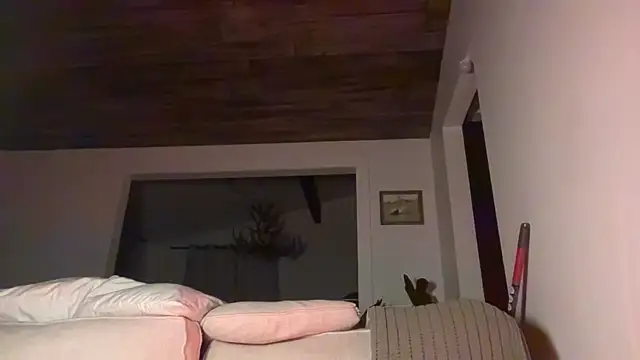 DylanBrook online show from June 1, 4:56 am