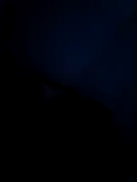 Snapshot of Vaishnavii chatting on March 21, 8:19 am Vaishnavii online show from March 21, 8:19 am