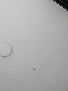 Snapshot of Dereckrose23 chatting on March 18, 5:14 pm Dereckrose23 online show from March 18, 5:14 pm