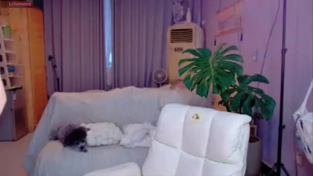 JaeHartMorn online show from March 31, 9:55 am