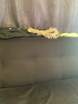 -Zoe Jack- online show from March 20, 3:13 pm