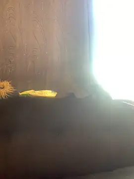 -Jack Zoe- online show from March 20, 3:13 pm