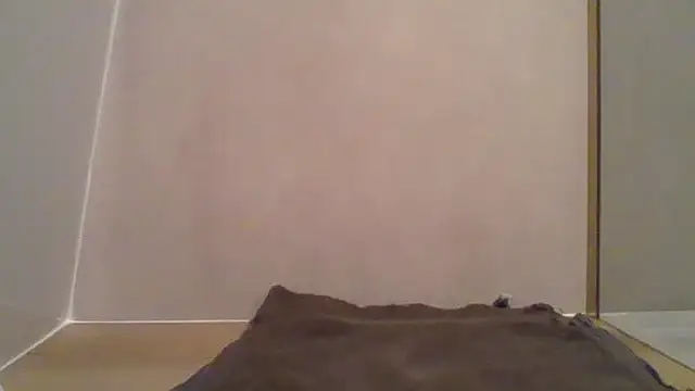 Snapshot of Essie_deLona chatting on March 24, 8:25 am Essie deLona online show from March 24, 8:25 am