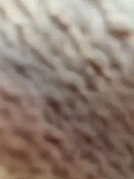 savageebny online show from July 8, 7:36 pm