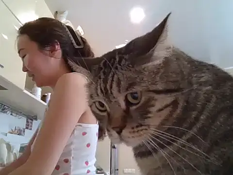 AsianJade1 online show from March 24, 11:54 am