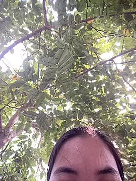 SeraCin online show from March 20, 7:09 am