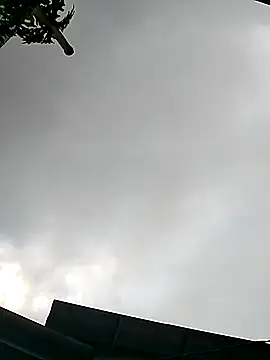 Cute-flowers online show from March 21, 2:35 am