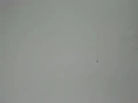 Aliciaa Diamond online show from March 25, 8:30 pm