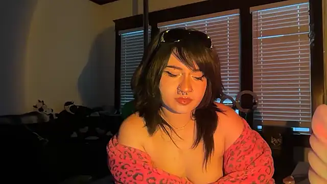 vrtual kitty online show from June 1, 2:45 am
