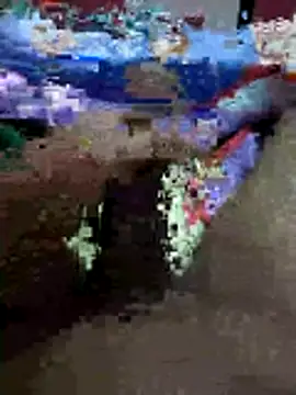 Snapshot of Alimohamed08 chatting on May 24, 1:16 am Alimohamed08 online show from May 24, 1:16 am