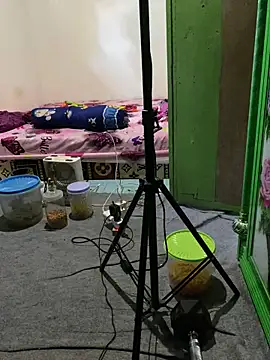 tukangcoli31 online show from April 13, 12:03 am