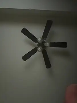 whitelioncody online show from April 17, 7:00 am