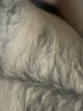 TurkishBoyzs online show from April 11, 7:28 pm