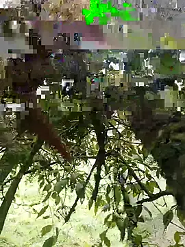 Snapshot of xjkedv chatting on June 6, 6:46 pm xjkedv online show from June 6, 6:46 pm