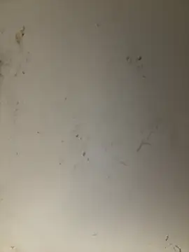 ANNIE 10- online show from April 11, 5:27 pm