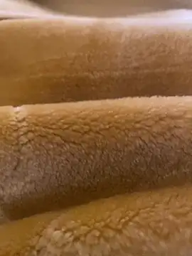 Ashwak trans online show from April 4, 12:01 pm