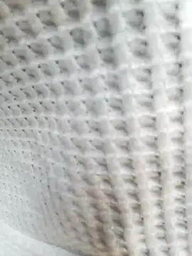 Aurora Nova online show from March 25, 6:13 am