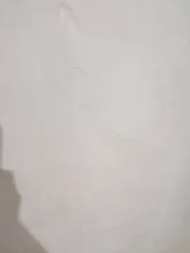 SLBL online show from March 25, 9:30 am