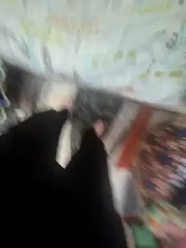 MassiveCongame online show from March 25, 12:37 pm