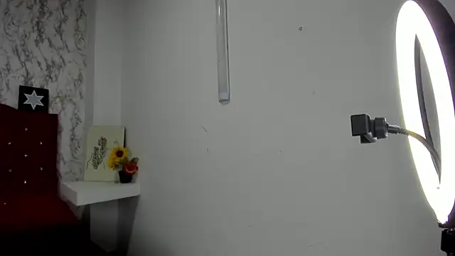 Alejandra and James  online show from May 4, 11:24 am