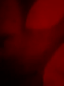 goldboy 0069 online show from April 11, 5:48 am