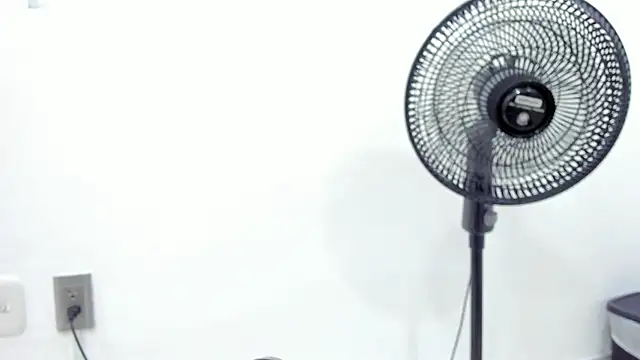 noah chips  online show from April 7, 5:31 am