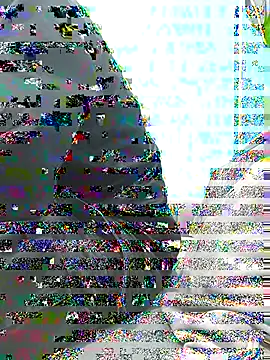 81strangerlife online show from April 5, 10:22 am