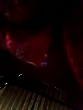 cat-kat online show from March 30, 10:50 am