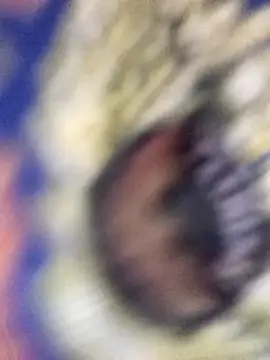 Bristy BigBoobs online show from April 23, 3:57 pm