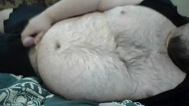Snapshot of TBFL0204 chatting on July 9, 2:38 pm TBFL0204 online show from July 9, 2:38 pm