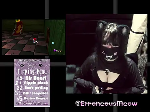 ErroneousMeow online show from April 11, 1:24 am