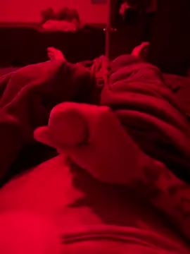 Dstat715 online show from April 19, 6:03 am