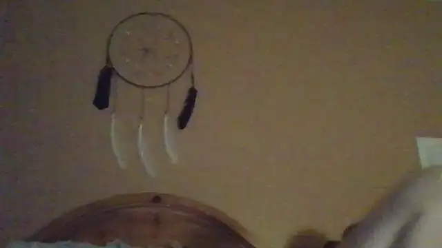 Cass wild online show from June 5, 4:28 am